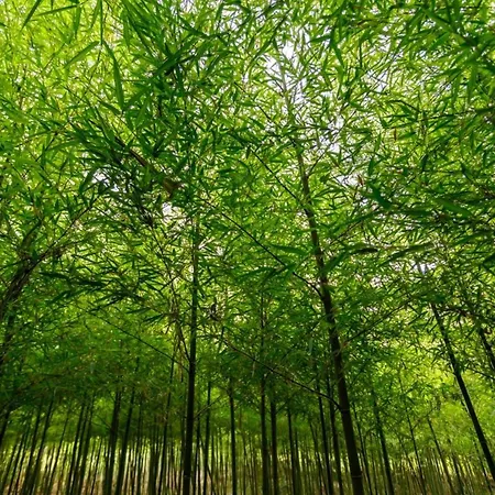 Le Scuderie 1 Appartement Galatone