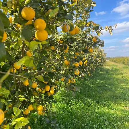 Le Scuderie 1 Appartement *